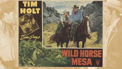 Wild Horse Mesa (1947)